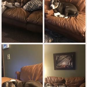 Meet your Posher, Blake